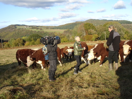 ITV Wales filming with Ruth Dodsworth and GWT's Farming Conservation Officer Joe Ryder 