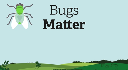 Bugs Matter