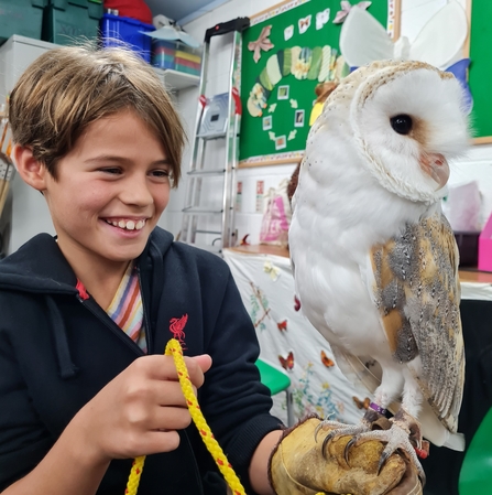 Bird of prey rescue