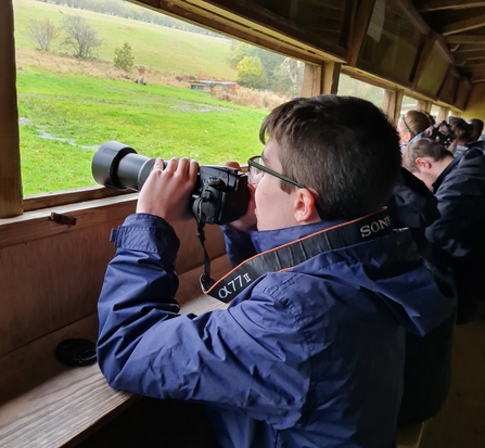 Gigrin Farm Red Kite Feeding Centre