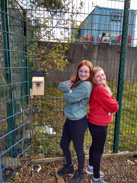 Nest box at Screwfix