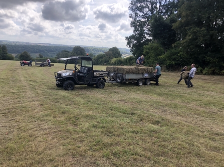 haybaling at Pentwyn farm