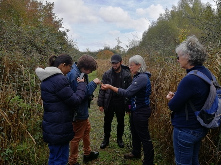 Participants from Newport People First looking at plants at the Road to Nature