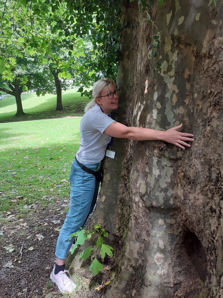 Hugging a London Plane Tree