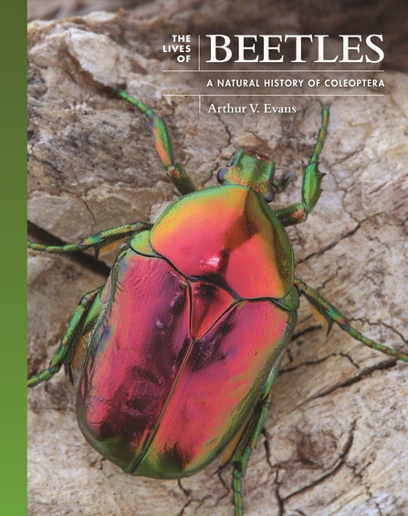 The Lives of Beetles book cover