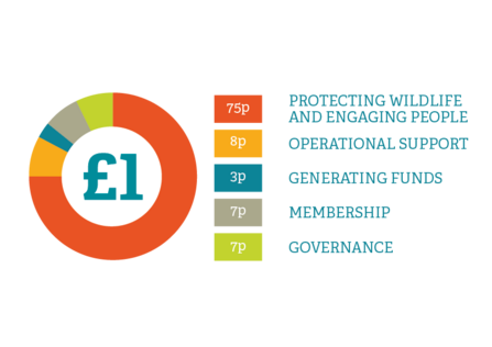 Our Finances for the year ended 31st March 2023 - expenditure