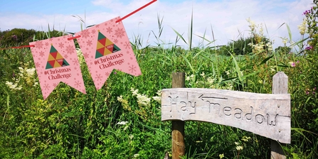 Hay Meadow sign and Big Give bunting