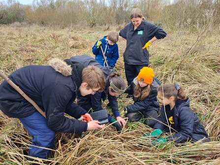 Harvest Mouse Survey Training