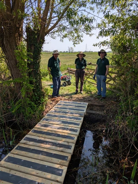 New bridge at Magor Marsh
