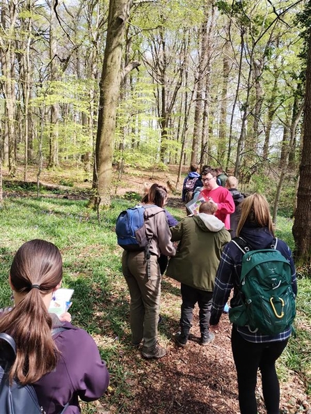 Wild Health group out enjoying the woodlands