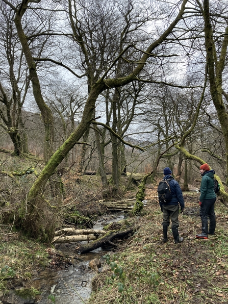 Gwent Wildlife Trust at work in the Silent Valley