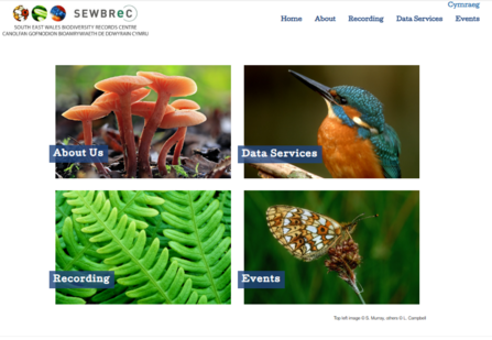 A screenshot of the SEWBRec website