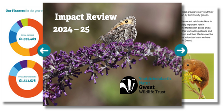 Impact Review 2024-25