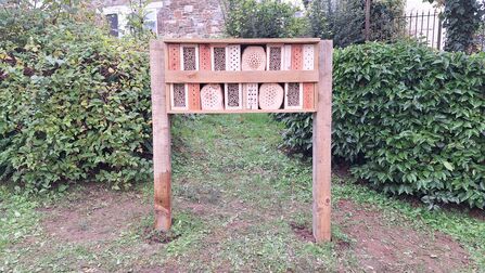 A large wooden structure with compartments for solitary bees