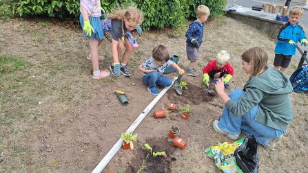 Children planting a community garden in Pontypool