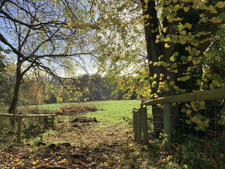Gate opening to a field in Wyeswood common surrounded by trees