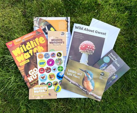 Membership Pack 2026