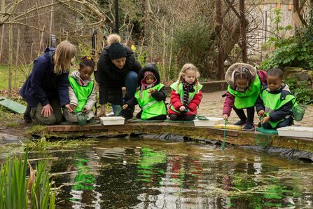 Five children in high vis and two adults leaning over a pond