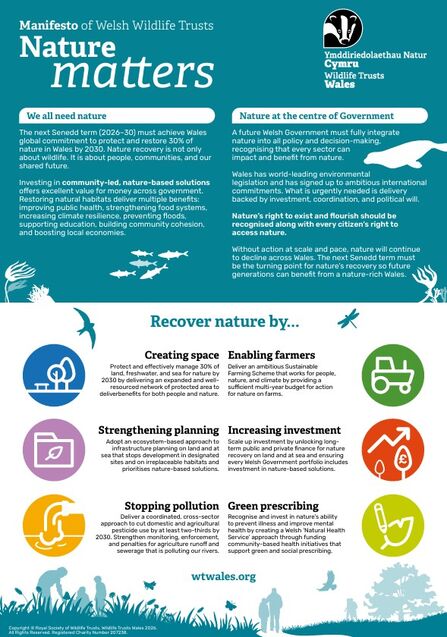 A screenshot of our election manifesto