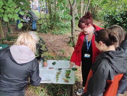 Teachers using leaves and sticks to create bar graphs on a white background, in a woodland setting