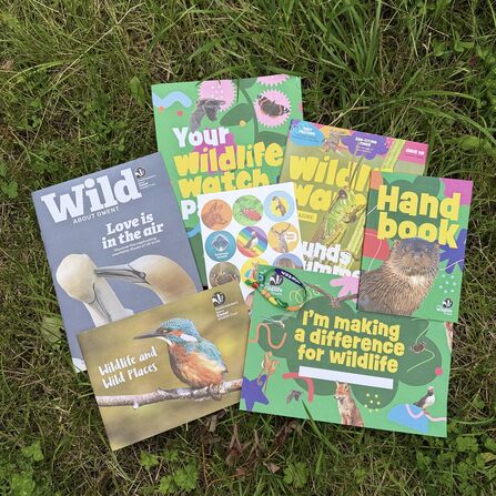 Gwent Wildlife Trust colourful Membership magazines and handbooks laid out on green grass 
