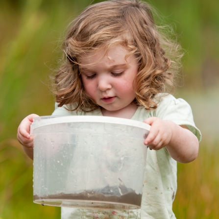 Toddler Pond Dipping, Ross Hoddinott/2020VISION