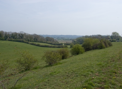 Brockwells Meadows SSS