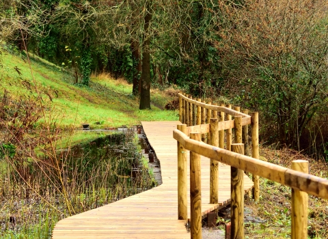 Dan-y-Graig boardwalk