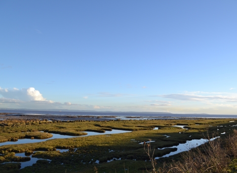 Peterstone Wentlooge Marshes l