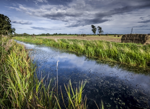 Waterway (reen) on the Gwent Levels