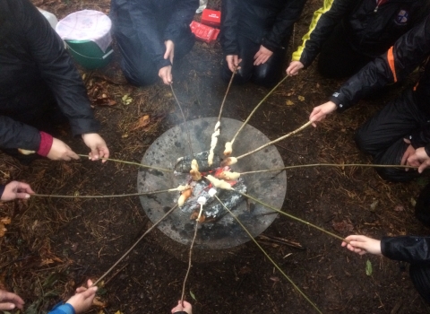 Toasting marshmallows