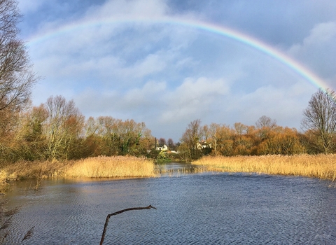 A rainbow over the pond at Gwent Wildlife Trust's Magor Marsh nature reserve