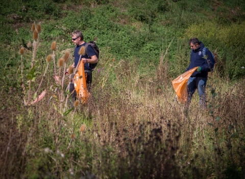 Litter Picking Wild Health