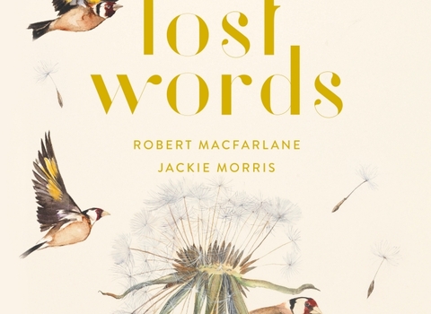 The Lost Words cover image