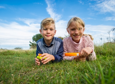 Children bug hunting