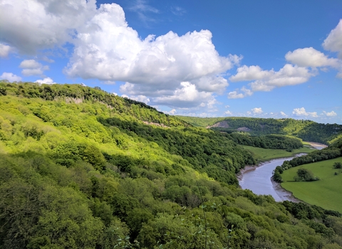 View over Piercefield Wood - Lowri Watkins