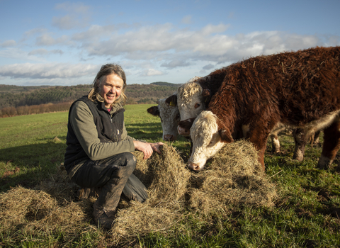 GWT staff with Hereford cattle