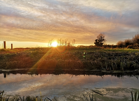 Magor Marsh winter sunset