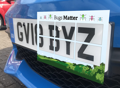 A Bugs Matter grid on a car number plate