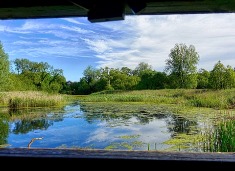 Bird Hide View at Magor Marsh by Hugh Gregory