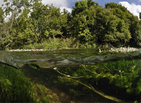 River Wye campaign