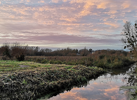 Magor Marsh sunsets autumn - winter