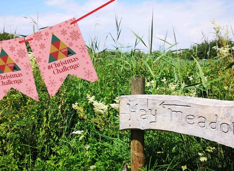 Hay Meadow sign and Big Give bunting