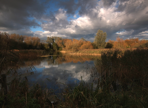 Magor Marsh landscape scene 