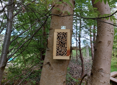 Bee hotel