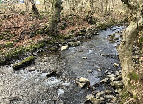 Ebbw Fach Abertillery Park