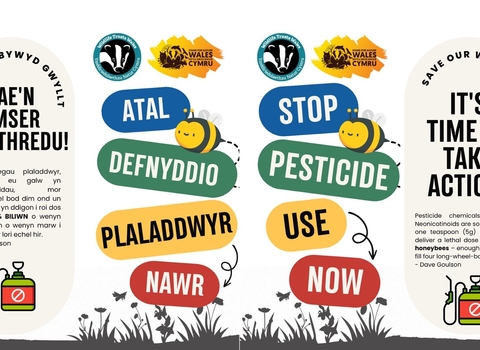 Pesticide free bilingual