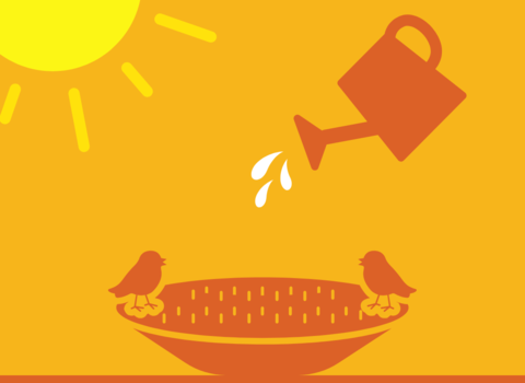 Filling up a bird bath with water