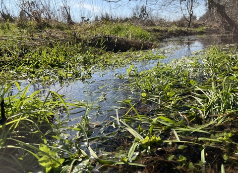 Rivers Project - River Usk