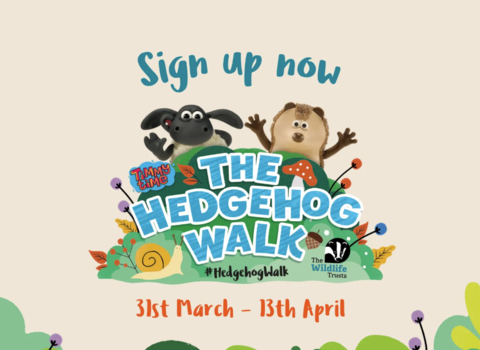 hedgehog walk banner 